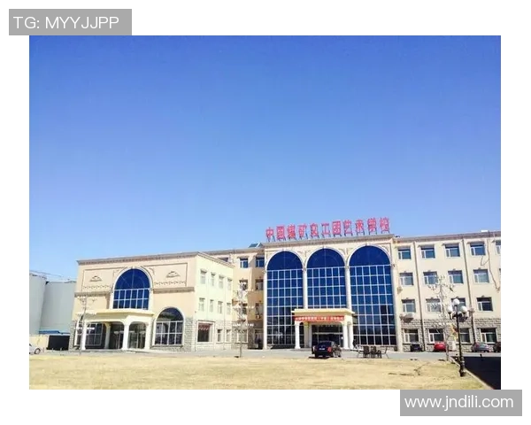 杭州排球队在联合会杯中的辉煌征程与突破成就全景回顾